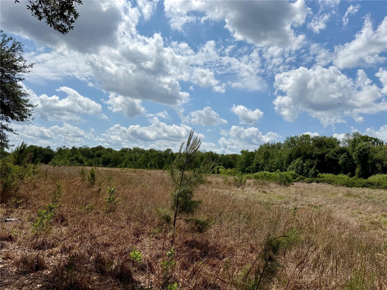 FARM TRACTS - Land