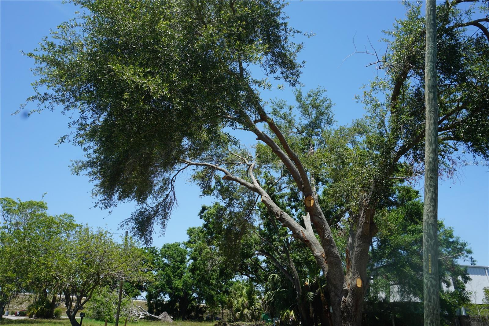 GANBRIDGE HUB - Land