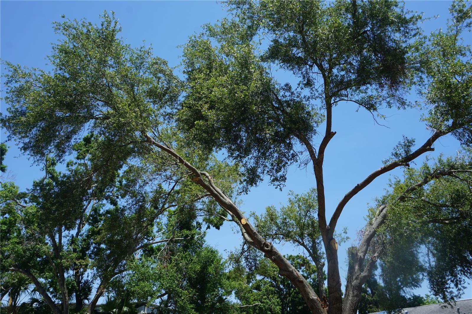 GANBRIDGE HUB - Land