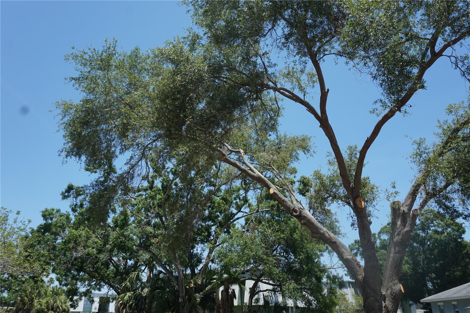 GANBRIDGE HUB - Land