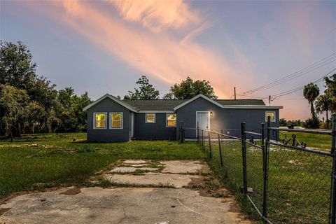 Photo of 205 E Cornell Street, Avon Park, FL 33825 (MLS # S5147144)