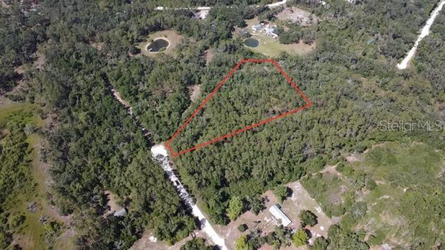 PRIVATE 5-ACRE WOODED LOT – No HOA – Adjoining Parcel Available!
Discover the peace and privacy of this beautiful 5-acre wooded lot, located at the end of a quiet dead-end cul-de-sac. Planted in pines with income-producing potential, this property offers the perfect setting for your dream home, garden, or quiet country retreat.
With no HOA, you’ll enjoy the freedom to build a site-built or manufactured home, grow your own food, and wake up each day to the sounds of nature. There’s plenty of space for outdoor living, all just 10 minutes from the historic Suwannee River and only 30 minutes to Florida’s Gulf Coast, ideal for fishing, boating, and scalloping.
NEED MORE ROOM? The adjoining 5-acre parcel is also available, giving you the opportunity to own a full 10 acres if desired.
A rare find with versatility, privacy, and natural beauty—don't miss your chance to make it yours!