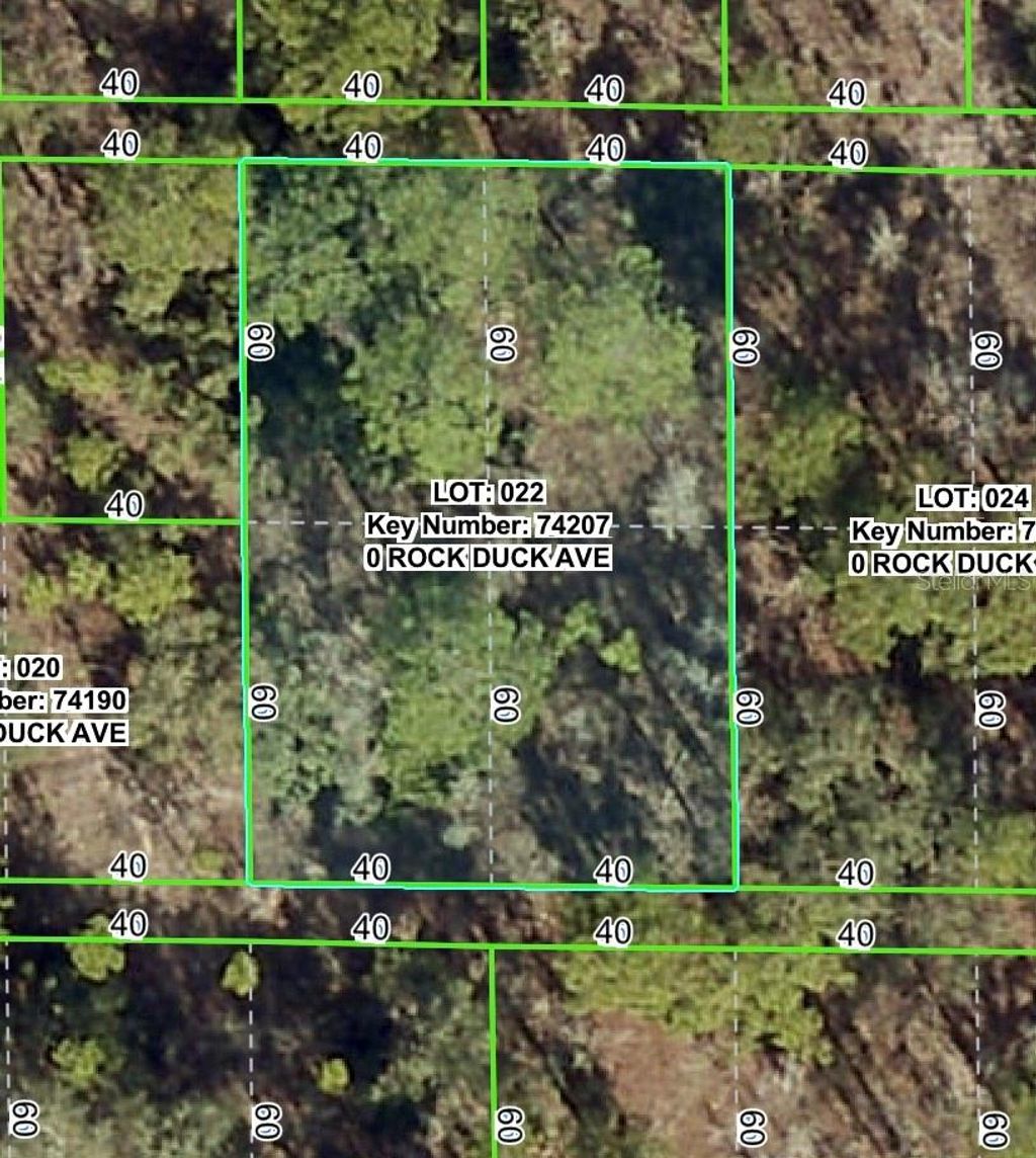 Photo of Rock Duck Avenue, Brooksville, FL 34614 (MLS # W7879495)