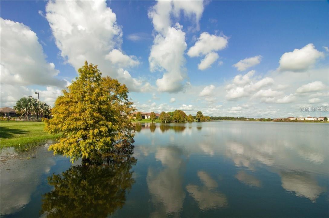 VILLAGES/BRDGWATER VILLAGE 9 - Residential