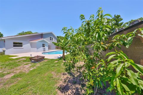 A home in VALRICO