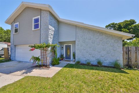 A home in VALRICO