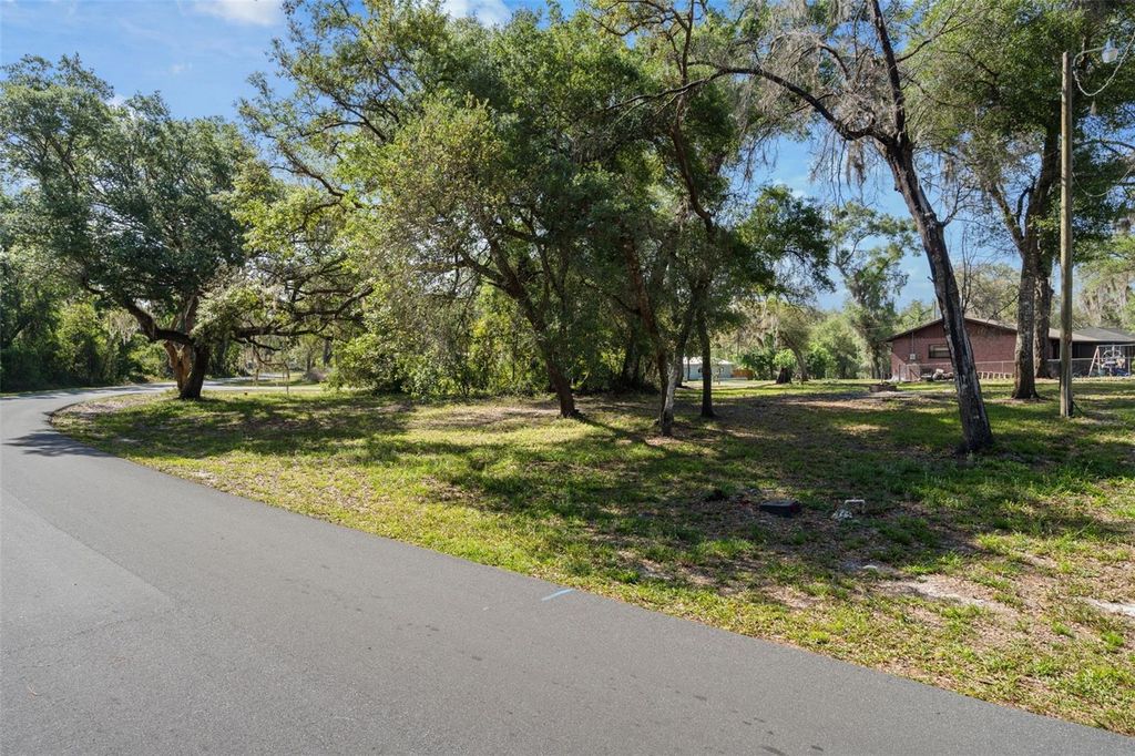 Photo of 5043 Cardinal Drive, Dade City, FL 33523 (MLS # W7884927)