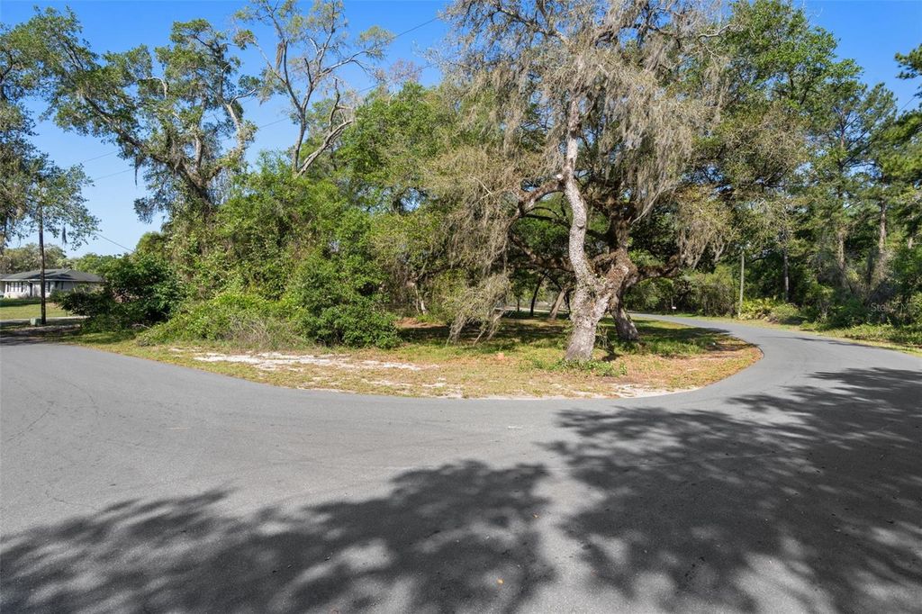 Photo of 5043 Cardinal Drive, Dade City, FL 33523 (MLS # W7884927)