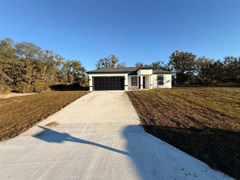 Photo of 6445 SW 147th Street Road, Ocala, FL 34473 (MLS # O6358095)