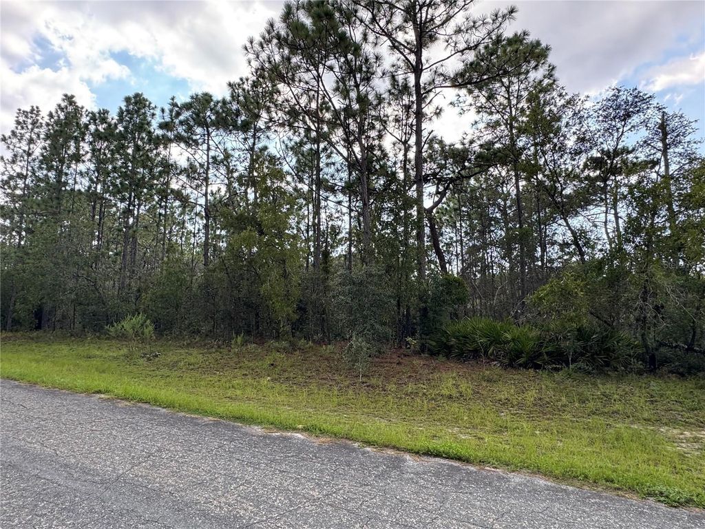 Photo of 780 W Hummingbird Drive, Citrus Springs, FL 34434 (MLS # TB8423244)