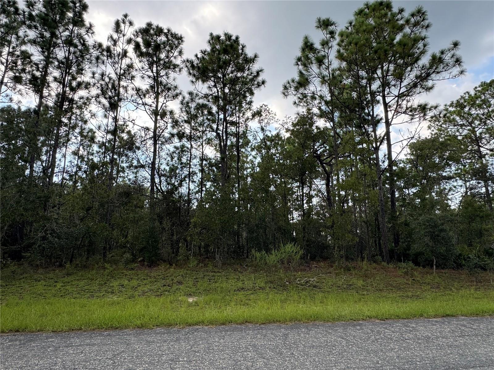 Here is a great opportunity to buy and build or buy and hold some land in Citrus Springs. This property is 0.26 acres, level and flat, and on an asphalt road. With the Suncoast Parkway extending north into Citrus County, access to the Greater Tampa area will be streamlined. Don’t forget to head over to Crystal River for some fresh seafood or a short drive to the Rainbow Springs State Park to enjoy a clear natural Florida Spring.
