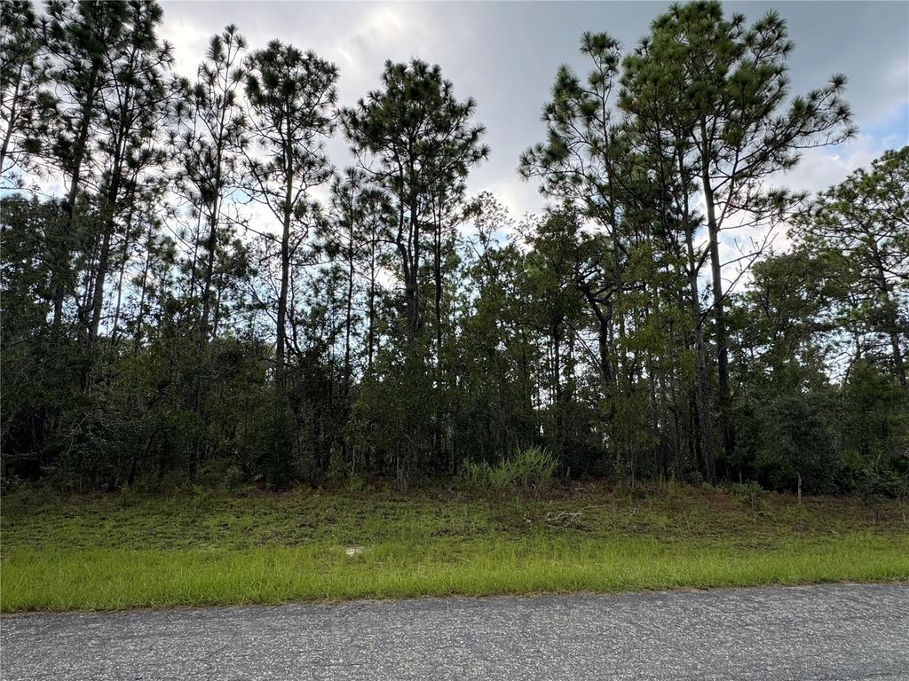 Photo of 780 W Hummingbird Drive, Citrus Springs, FL 34434 (MLS # TB8423244)