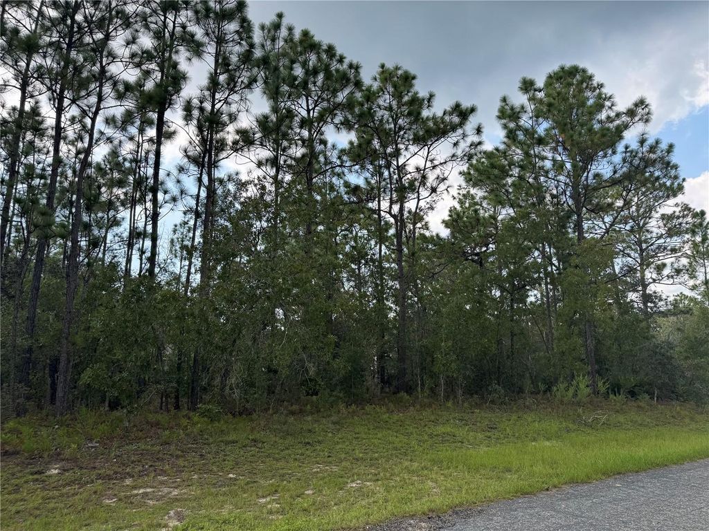 Photo of 780 W Hummingbird Drive, Citrus Springs, FL 34434 (MLS # TB8423244)