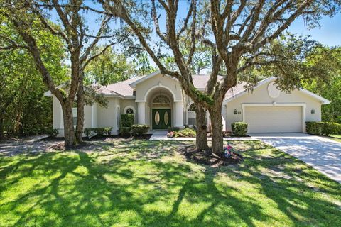 Tiny photo for 8 Sweetgum Court N, Homosassa, FL 34446 (MLS # OM726585)