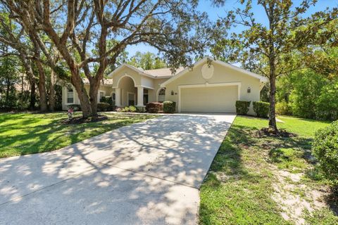 Tiny photo for 8 Sweetgum Court N, Homosassa, FL 34446 (MLS # OM726585)