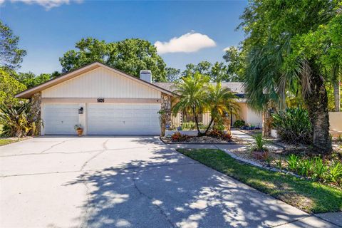 Photo of 5035 Barrowe Drive, Tampa, FL 33624 (MLS # S5148368)