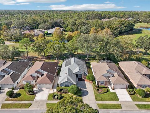 A home in MOUNT DORA