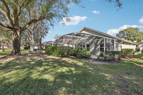 A home in MOUNT DORA