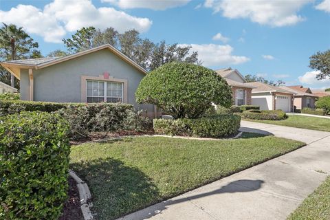 A home in MOUNT DORA