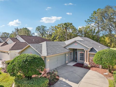 A home in MOUNT DORA