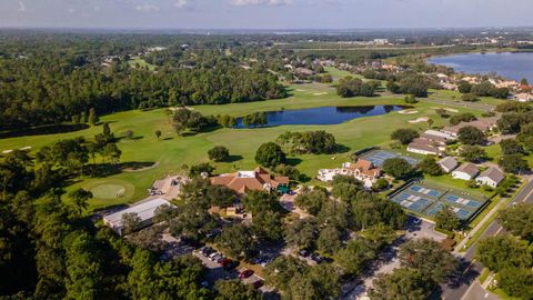 A home in MOUNT DORA