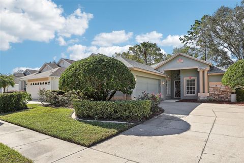 A home in MOUNT DORA