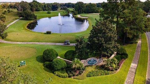 A home in MOUNT DORA