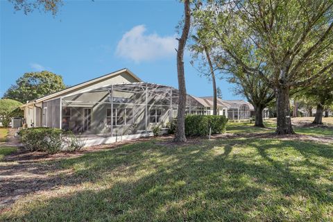 A home in MOUNT DORA