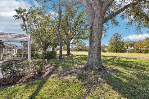 A home in MOUNT DORA