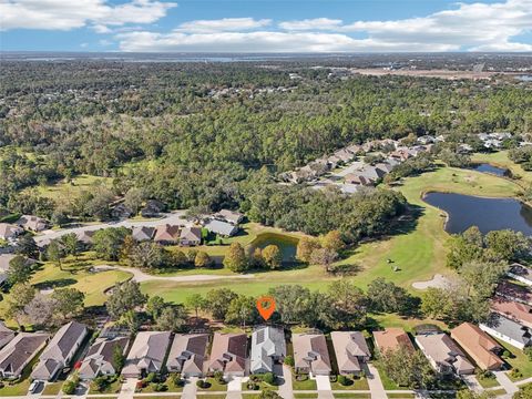 A home in MOUNT DORA