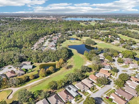 A home in MOUNT DORA