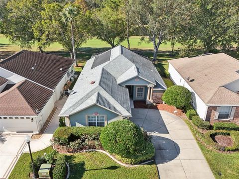 A home in MOUNT DORA