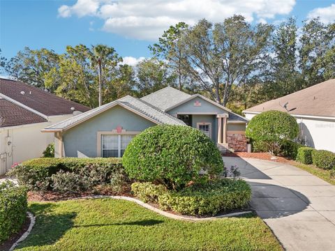 A home in MOUNT DORA