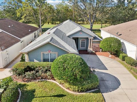 A home in MOUNT DORA