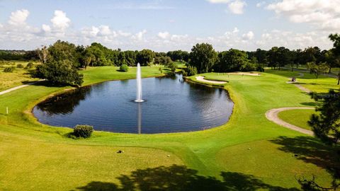 A home in MOUNT DORA