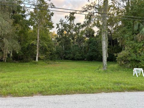 24916 BUTLER STREET ASTOR FL 32102