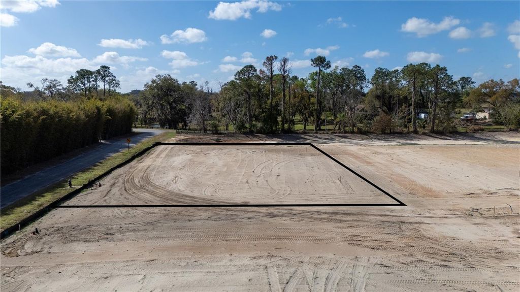 Photo of 12883 Pompanic Street, San Antonio, FL 33576 (MLS # TB8485473)