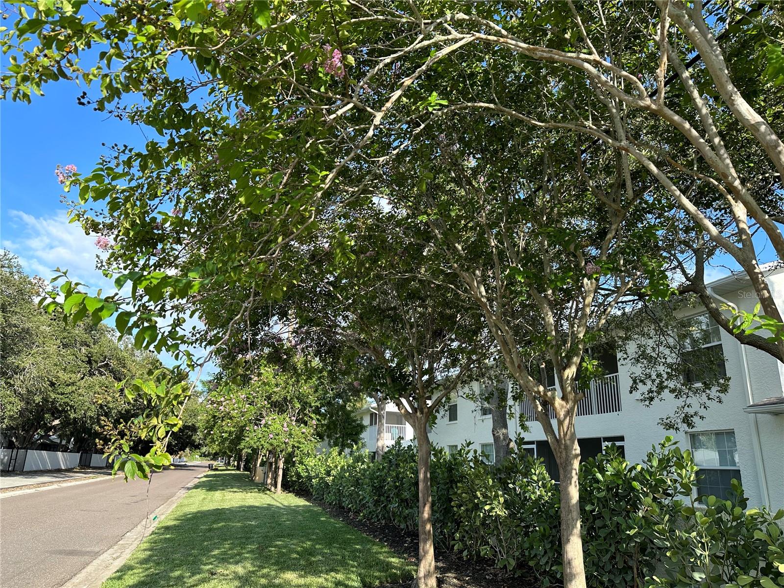 FLORINA ISLE CONDOMINIUM - Residential Lease