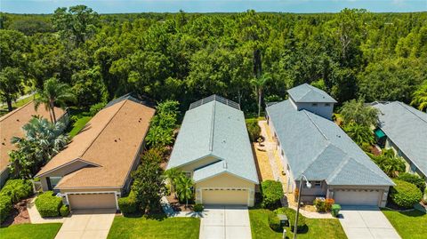 A home in LAND O LAKES