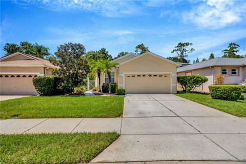 A home in LAND O LAKES