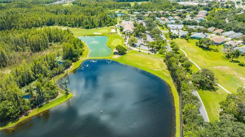 A home in LAND O LAKES