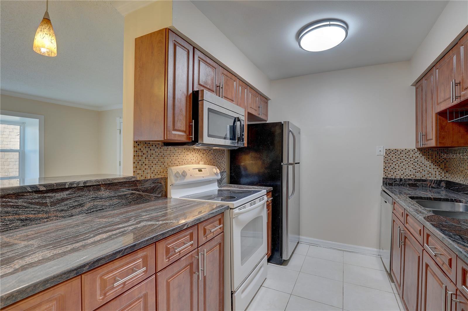 9002 TUDOR DRIVE K202
