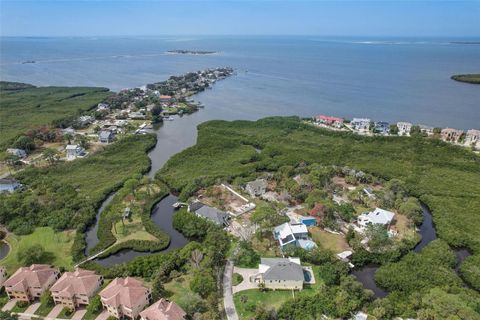 A home in TARPON SPRINGS