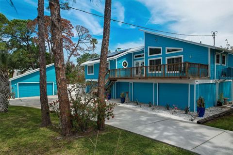 A home in TARPON SPRINGS