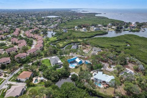 A home in TARPON SPRINGS