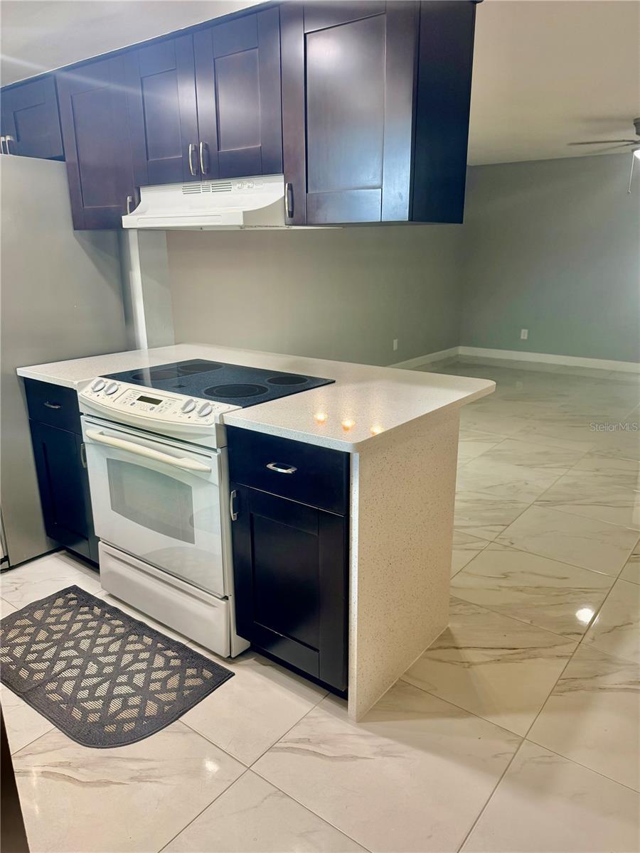 3919 PINE LIMB COURT