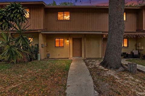 3919 PINE LIMB COURT TAMPA FL 33614