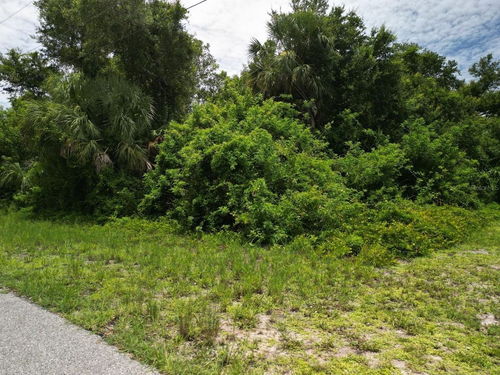 Photo of 20053 Armstrong Avenue, Port Charlotte, FL 33954 (MLS # C7511917)