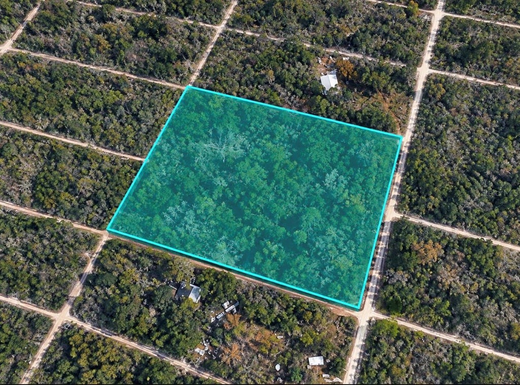 Photo of 330 S Dew Plant Point, Crystal River, FL 34429 (MLS # TB8562254)