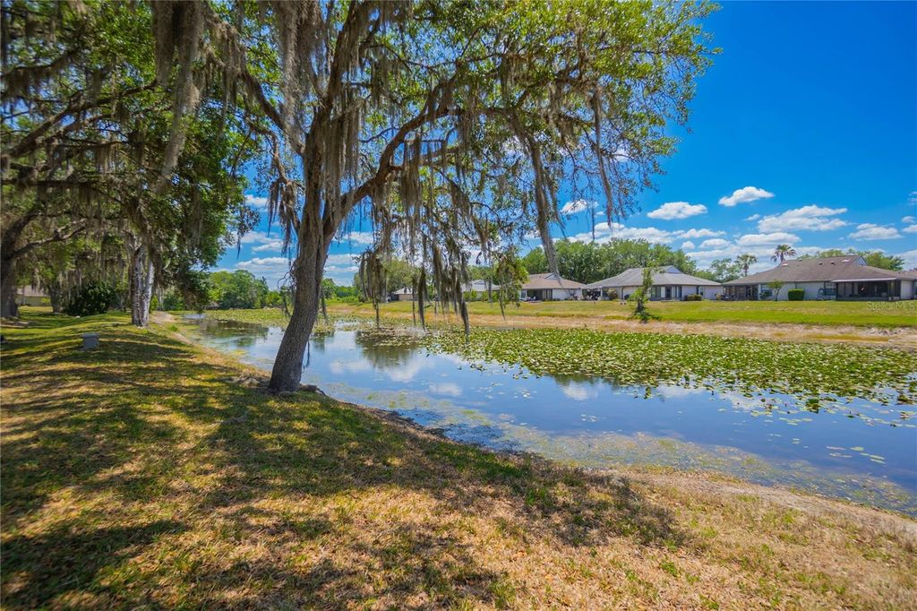 Photo of 127 N Golf Harbor Path, Inverness, FL 34450 (MLS # OM723512)